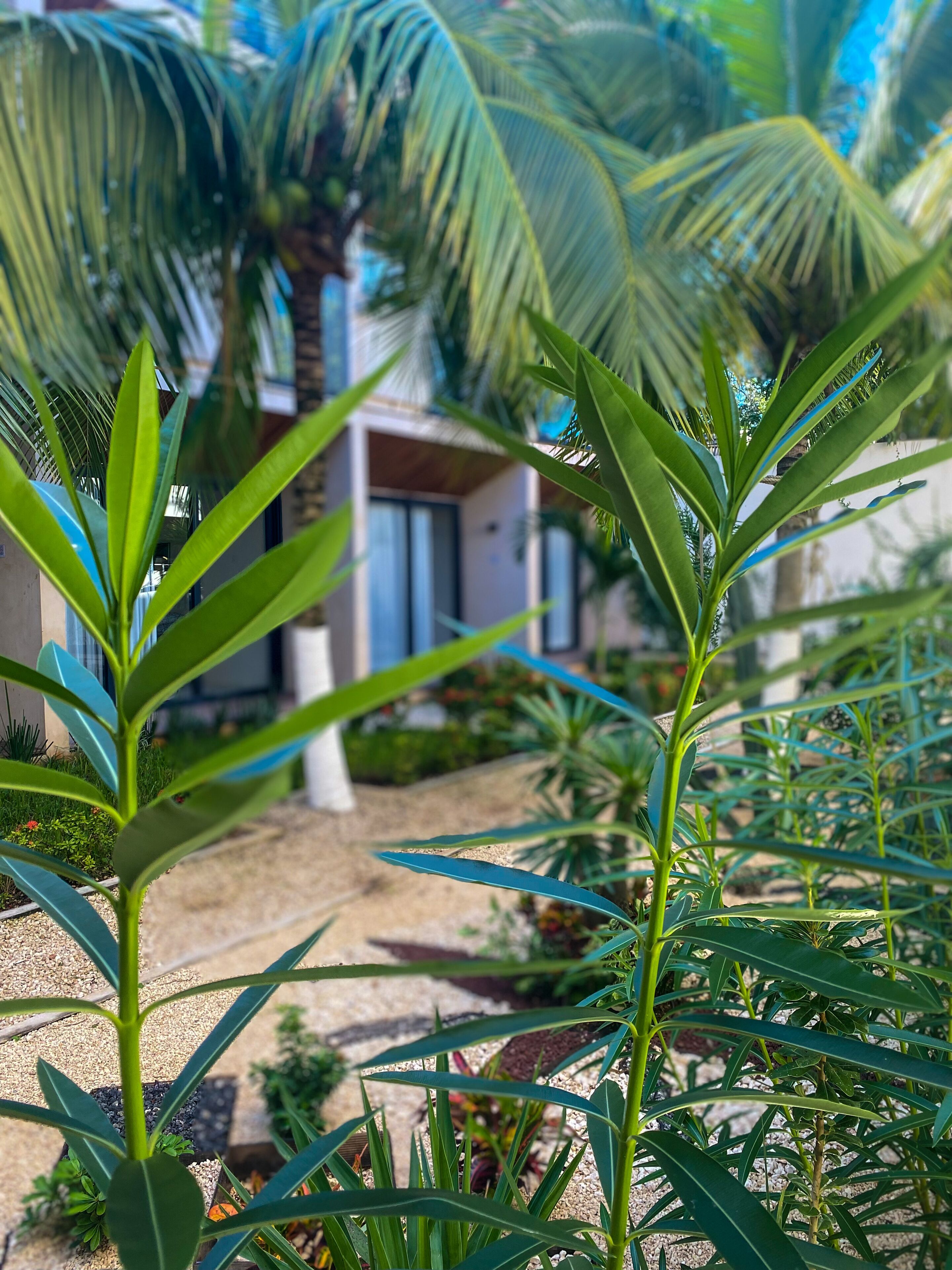 숙박 시설 구내