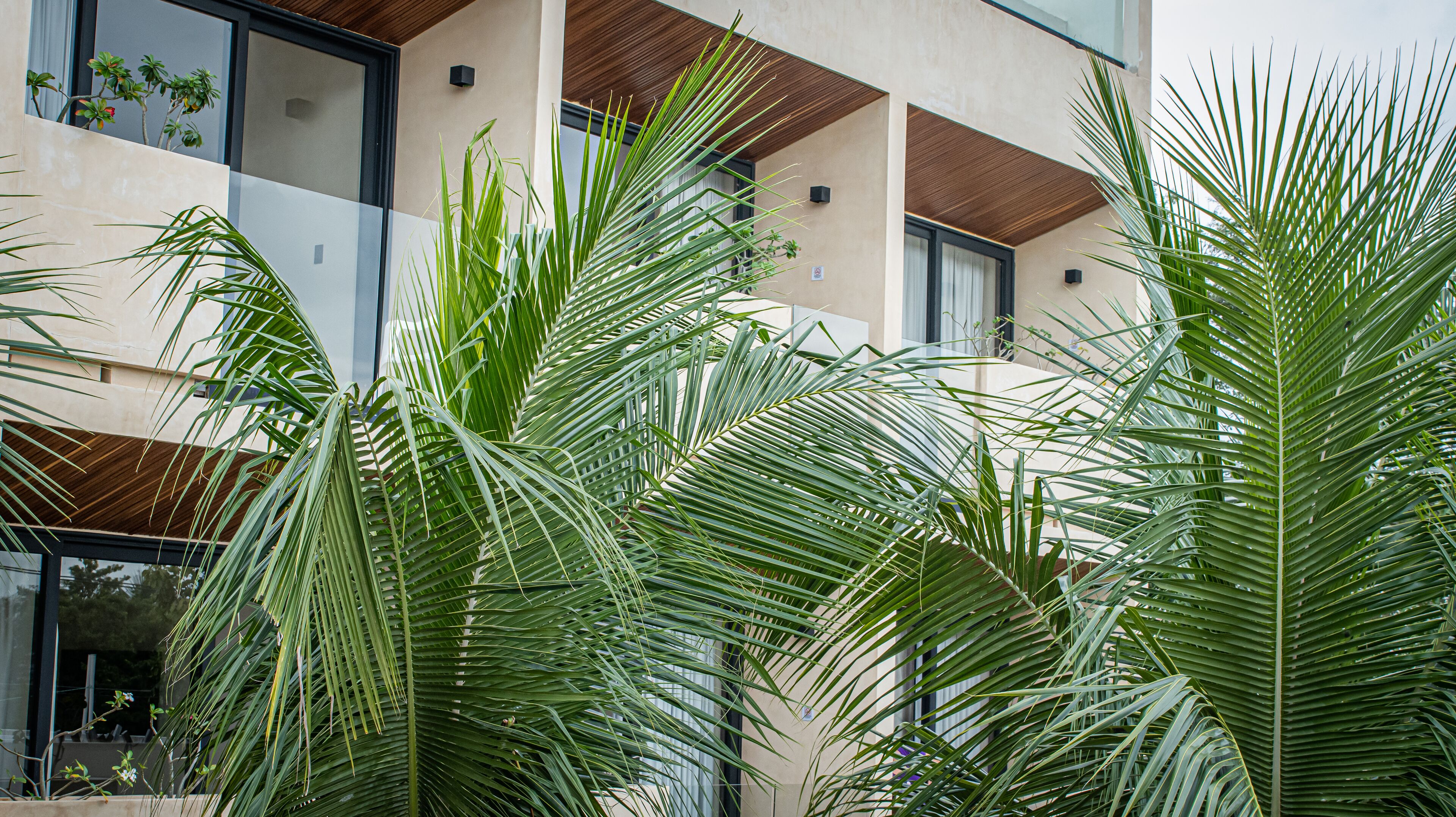 Foto - Moonshine Tulum Hotel & Hostel