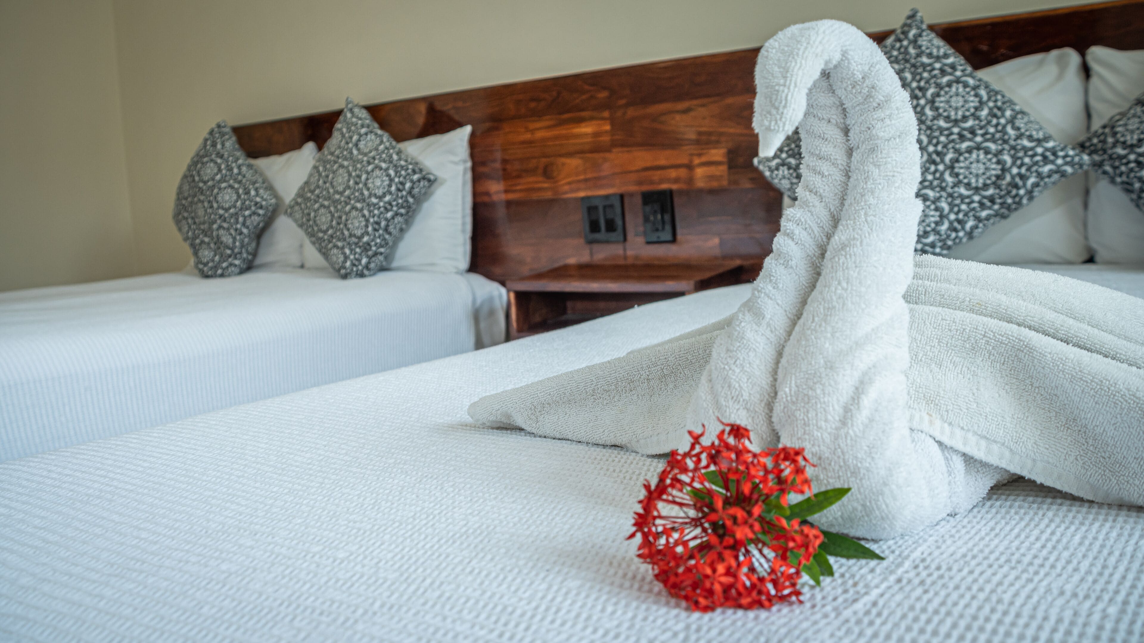 Quarto de hotel com duas camas, uma cabeceira de madeira e almofadas decorativas.