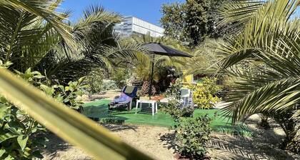 Oasis in Split near the center