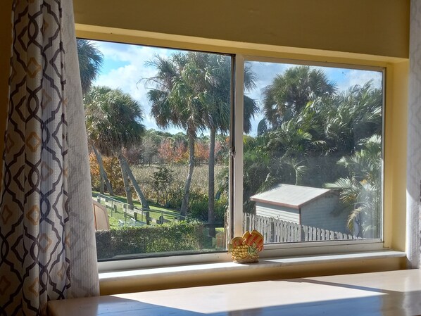 A window with a view of a garden, a small decorative item on the windowsill, and a white fence in the background.