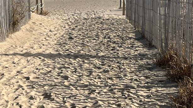 Un sentier de sable qui longe la plage et mène à l’océan, bordé de clôtures en bois.