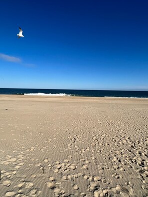 بالقرب من الشاطئ