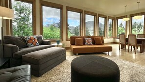 Smart TV, DVD player, books, video library