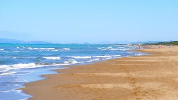 Plage Ă  proximitĂ©, pĂȘche sur place