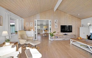 تلفزيون، مدفأة