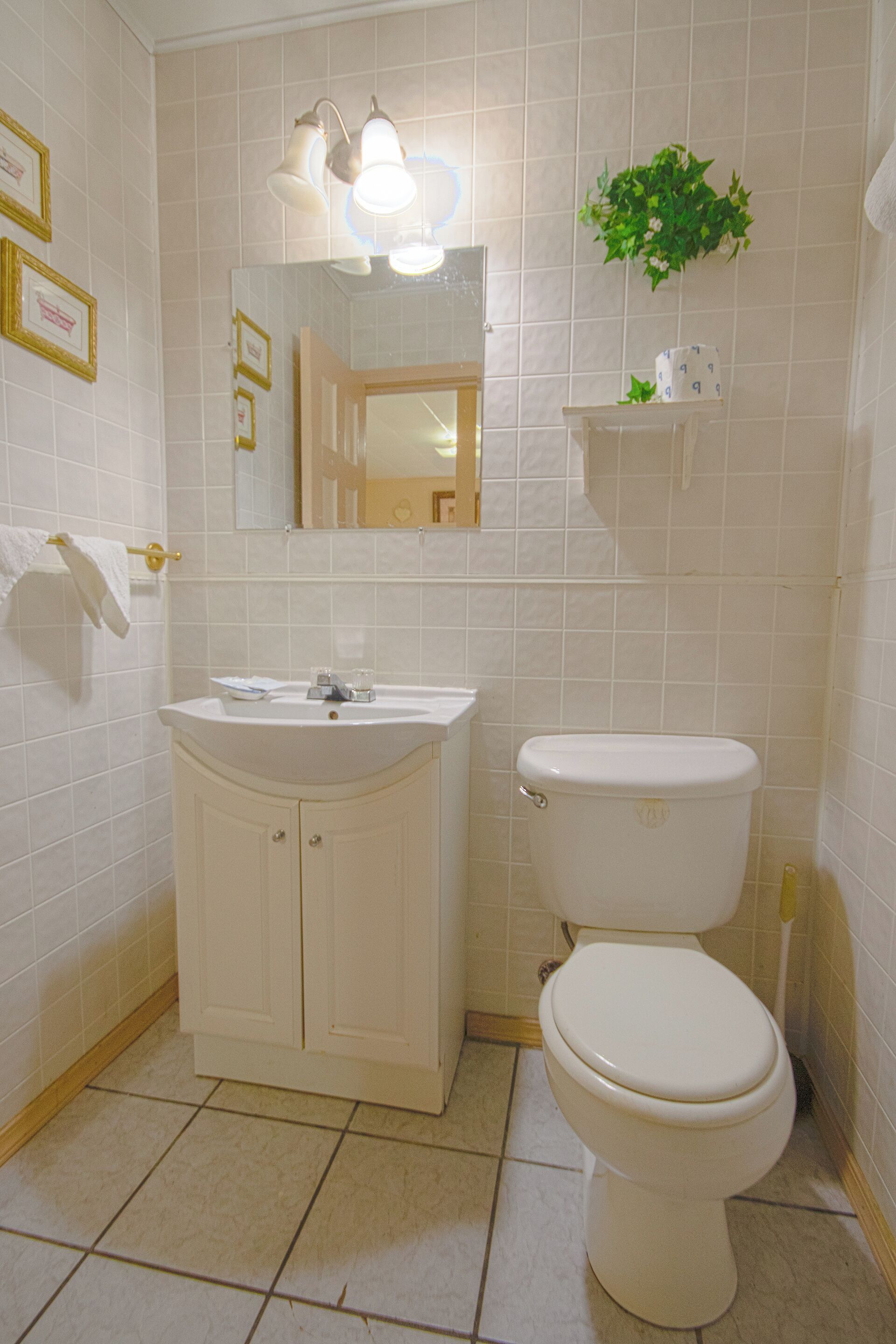 Une salle de bain avec un lavabo, des toilettes et un miroir, tous de couleur blanche. Des tableaux encadrés ornent le mur, et une petite plante est posée sur une étagère.