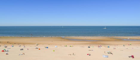 Playa en los alrededores