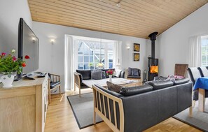 TV, fireplace, DVD player