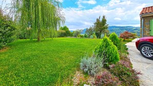 A well-maintained garden with a variety of plants and a stone pathway leading to a red car parked near a stone building. - Villa with pool and air conditioning (Bartolići)