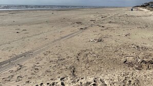 A wide sandy beach with footprints and a clear sky.