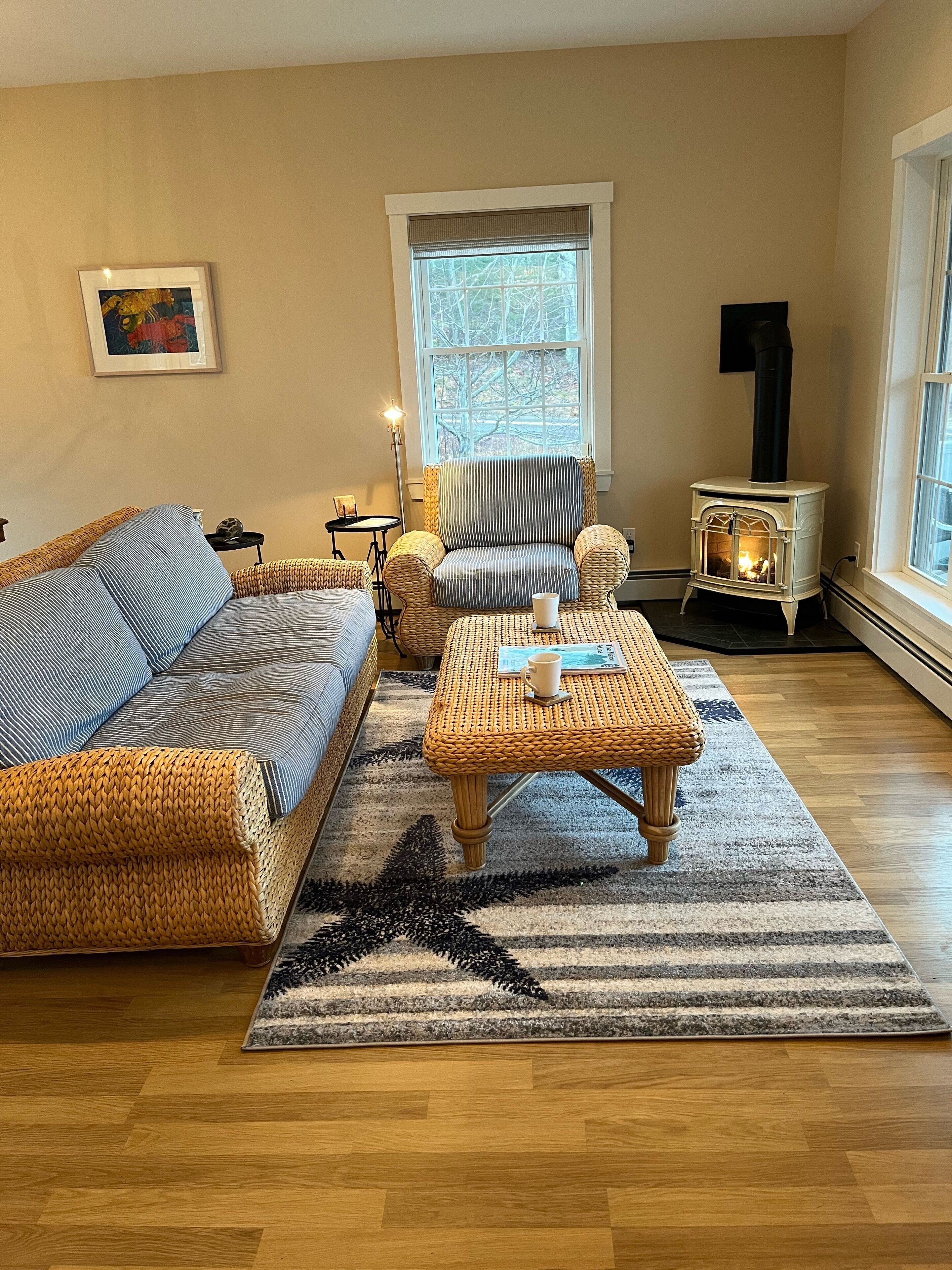 Smart TV, fireplace, books, video library