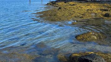 On the beach, beach towels