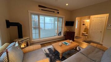 Smart TV, fireplace, books, video library