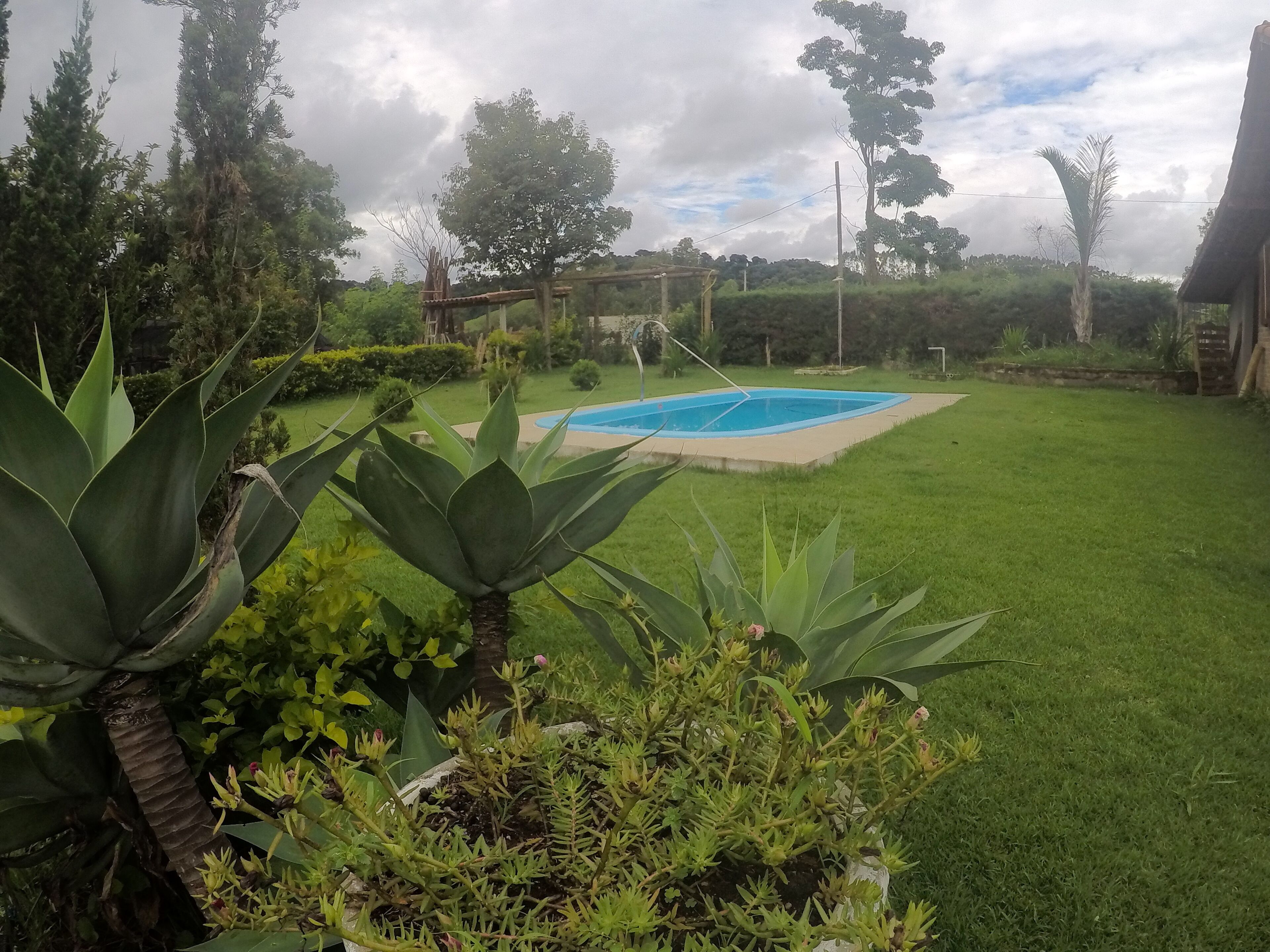 Un jardin à l’arrière de la maison, avec une piscine, entouré de différentes plantes et arbres.