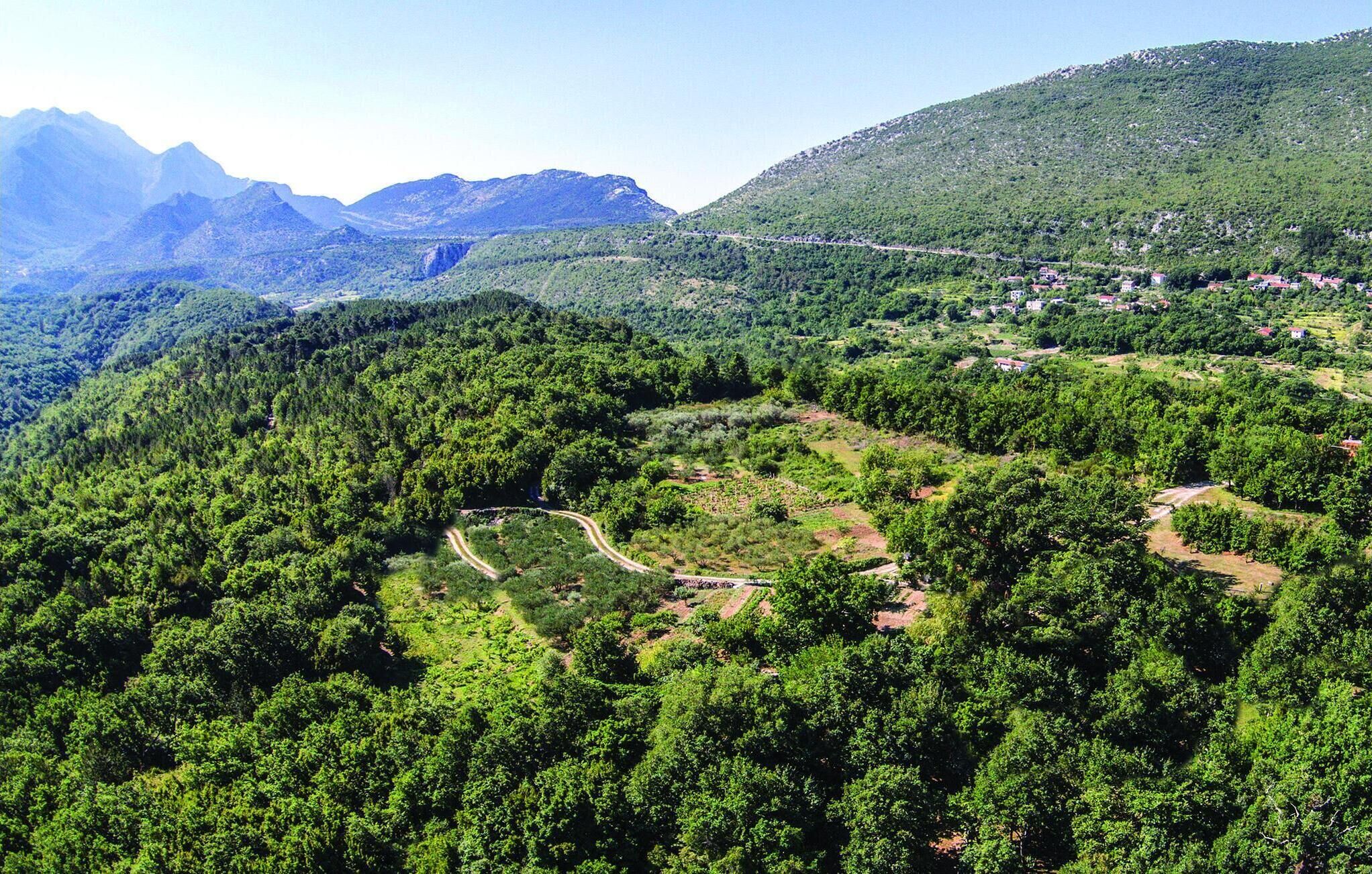 Paisagem montanhosa com florestas densas e uma estrada sinuosa.