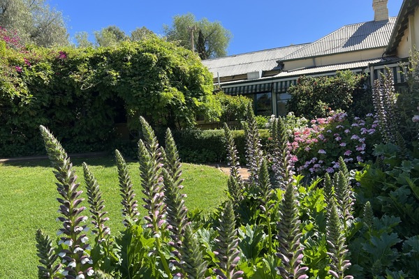 Jardines del alojamiento