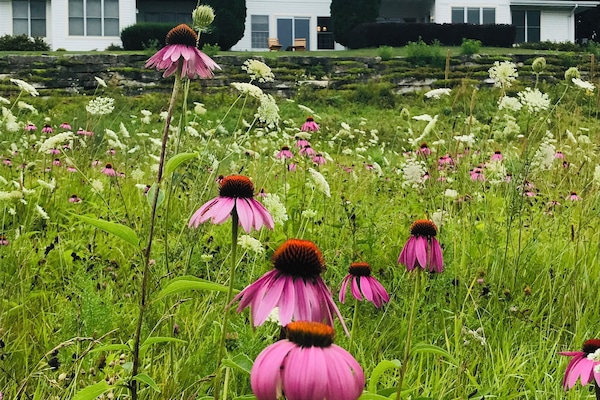 Photo from the path up to the condo. Our condo is in the middle.