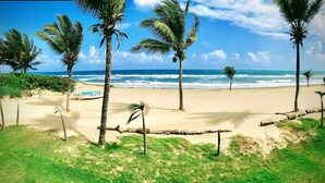 A beach with palm trees, a boat, and the ocean.