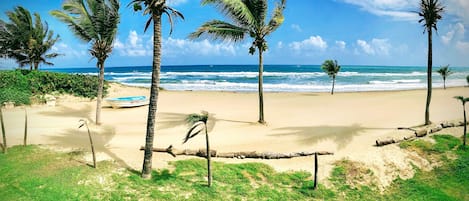 On the beach