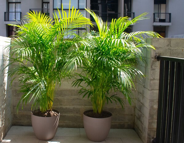 Áreas de la propiedad