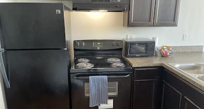 Historic 2 Bedroom Riverfront loft in Corktown
