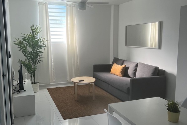 Basic Apartment | Living area | TV