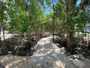 Stroll along the winding gravel path surrounded by lush greenery.