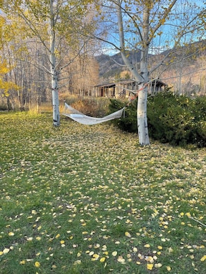 Un hamac tendu entre des bouleaux, dans une zone herbeuse, avec une cabane en bois en arrière-plan.
