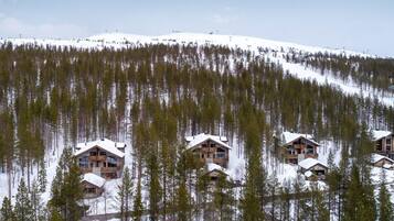 Ulkopuoli