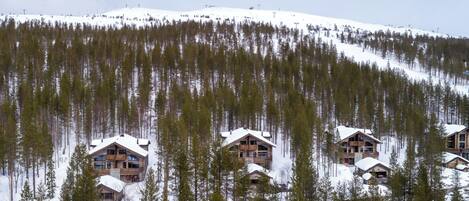 Un conjunto de cabañas de madera con techos nevados, rodeado por un bosque denso y una colina cubierta de nieve.