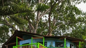 Une cabane dans les arbres avec une rambarde verte et une terrasse en bois.