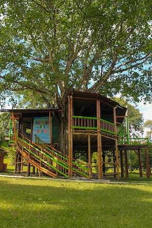 Exterior - Tree House Finca La Floresta Verde (Risaralda)
