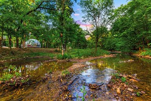 A serene forest scene with a clear stream, a gazebo, and trees.