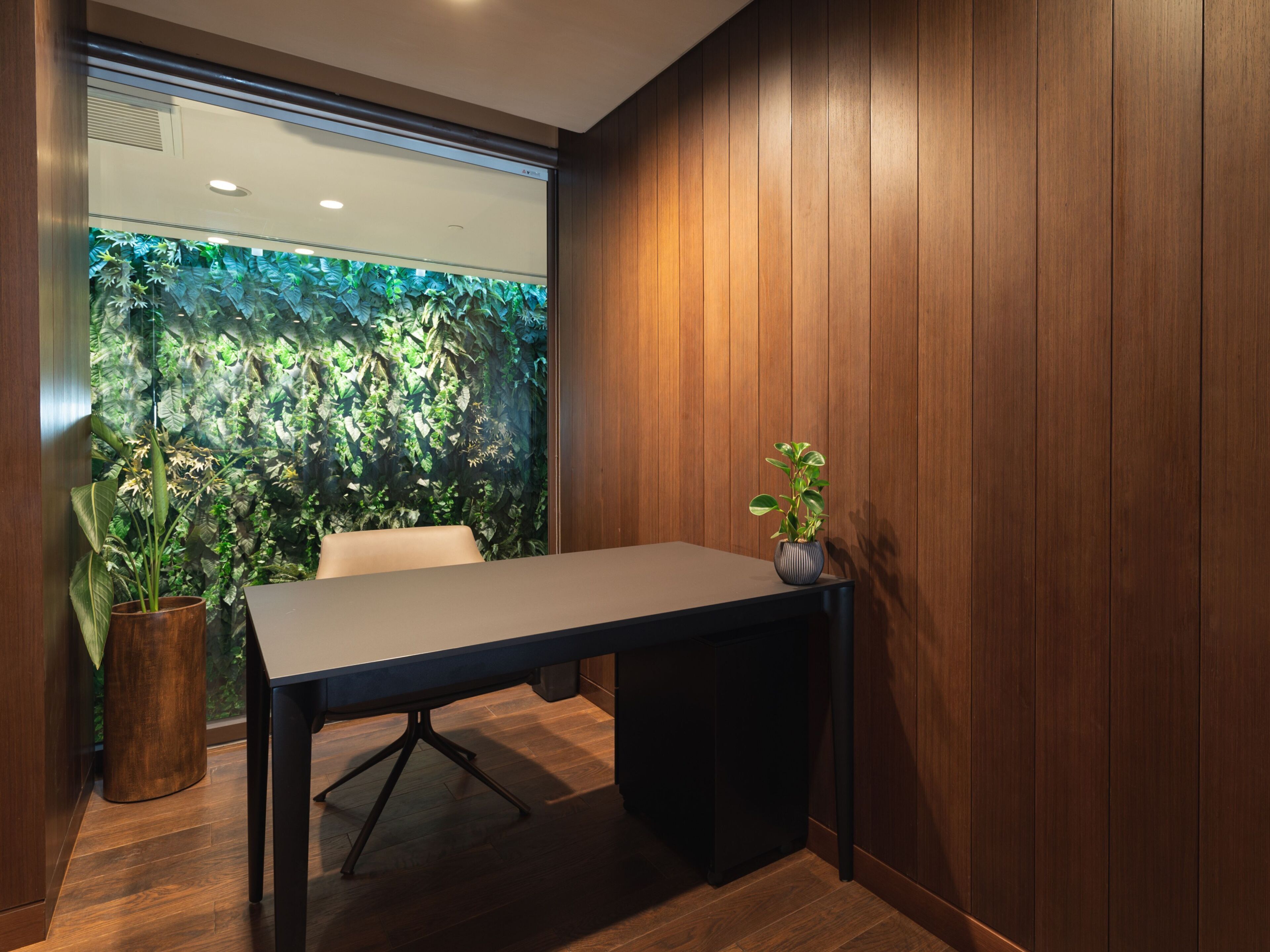 A conference room with a wooden table, a potted plant, and a view of a green wall with foliage.