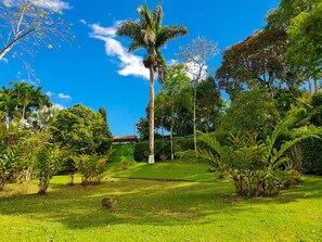 Property grounds - Room with 2 double beds Number 14 (Risaralda)