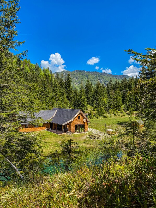 Exterior - Vacation villa "Chalet Wildalpen" whirlpool and sauna (Wildalpen)