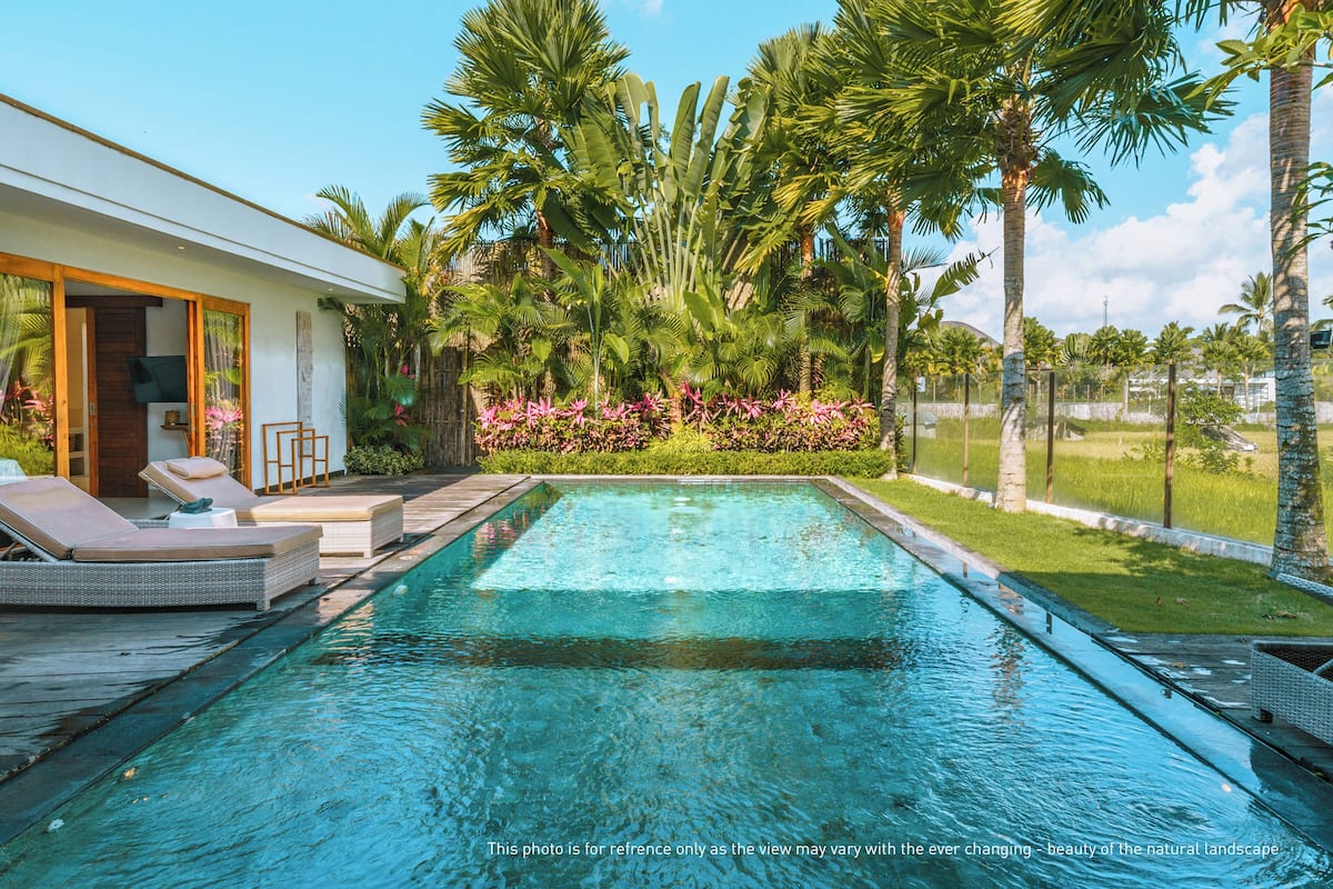 A swimming pool with lounge chairs, surrounded by tropical plants and palm trees.