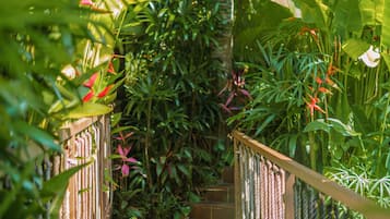 Jungle Jacuzzi Lodge - Adults Only