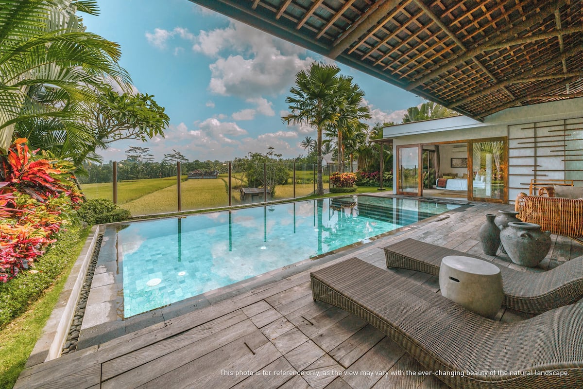 A pool with a wooden deck, lounge chairs, and a view of a rice field.