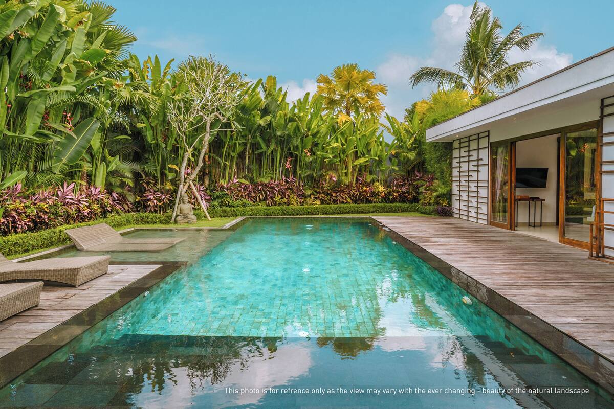A swimming pool with a wooden deck, surrounded by lush tropical vegetation and a modern building with large glass doors.