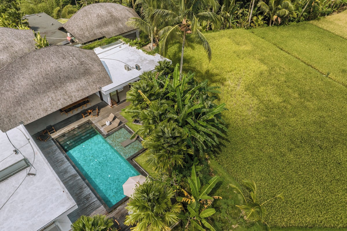 5 Bedroom Royal Pool Villa Paddy View | View from room