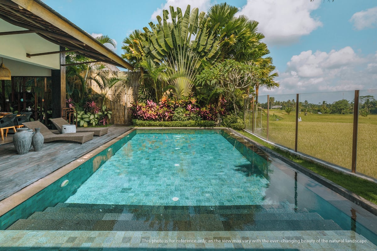 A swimming pool with a wooden deck and lounge chairs, surrounded by lush tropical plants and a view of a rice field.
