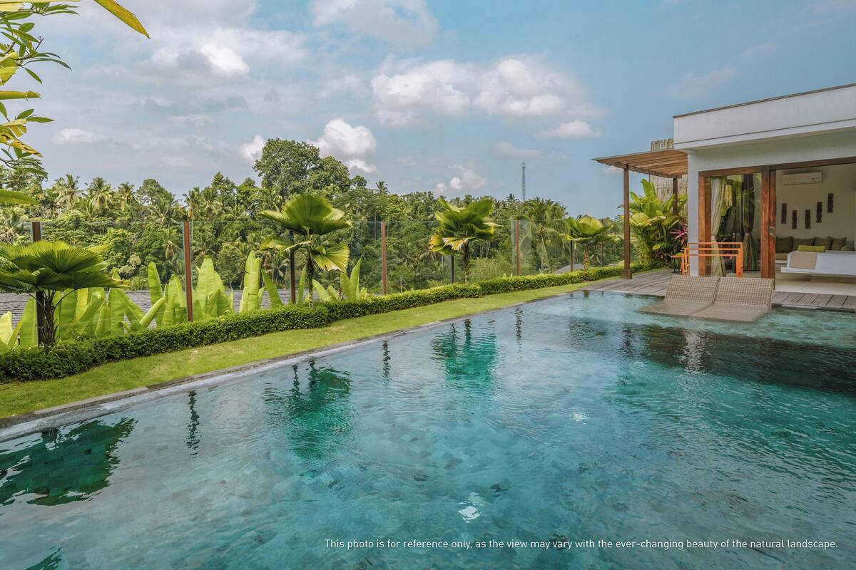 A swimming pool with clear water, surrounded by lush greenery and a modern house with a patio.