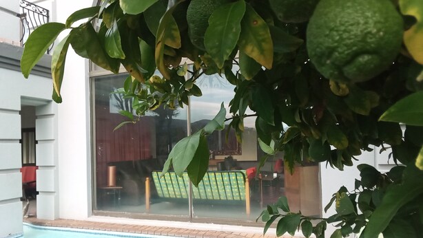 Une piscine dont le bord est recouvert de carreaux, une chaise verte et une porte vitrée donnant sur une pièce avec vue.