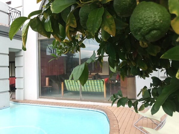 Alberca al aire libre 
