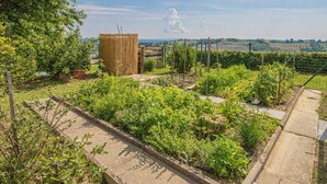 Cottage | Property grounds - Holiday House Podhamer Boris With Private Wellness (Ljutomer)