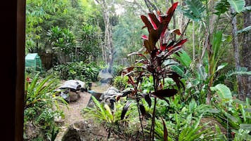 Overnatningsstedets område