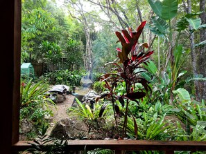 Escape to a serene tropical oasis surrounded by lush greenery and a tranquil pathway.