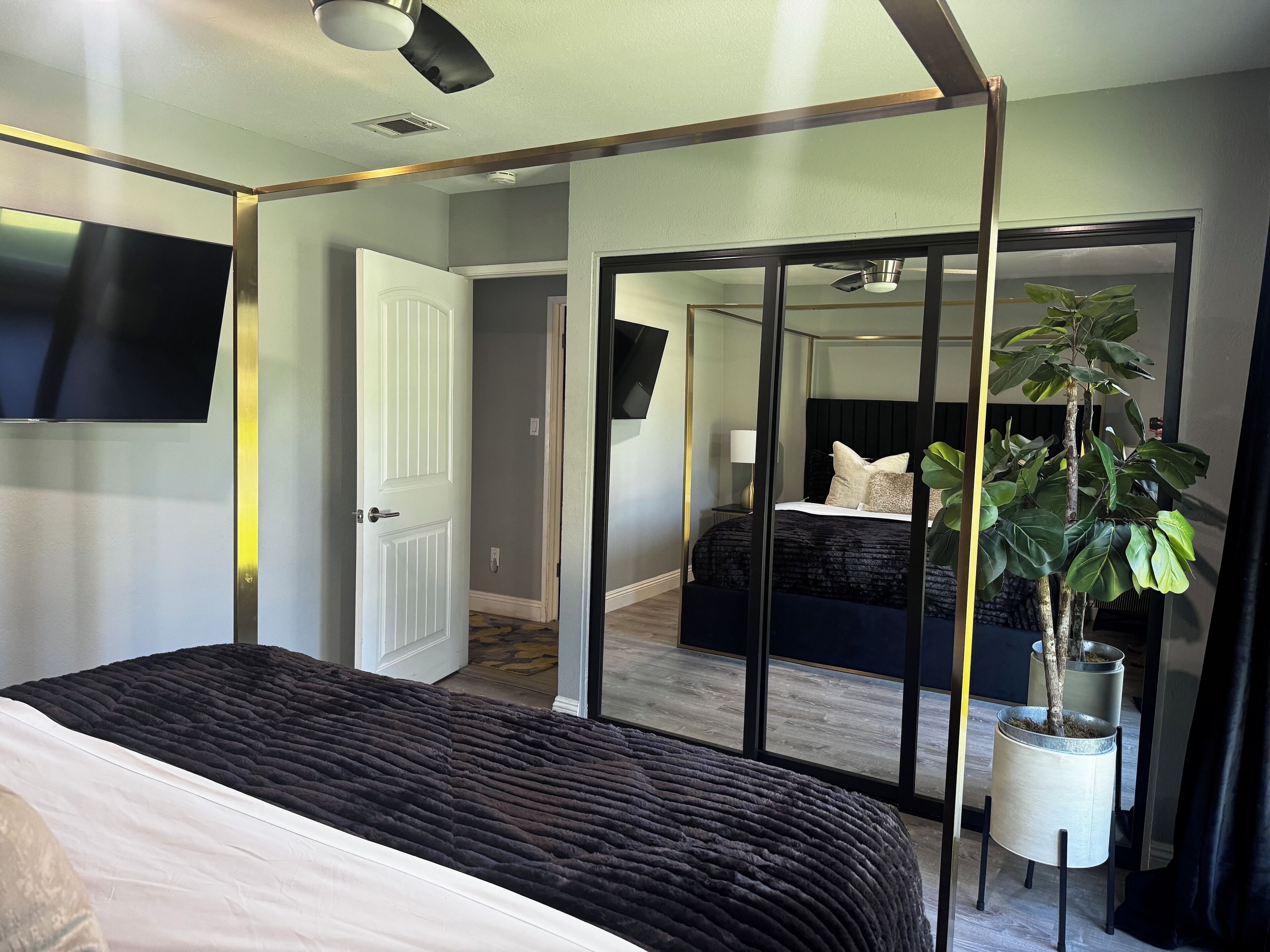 A modern hotel room with a large bed, a flat-screen TV, a mirror, and a potted plant.
